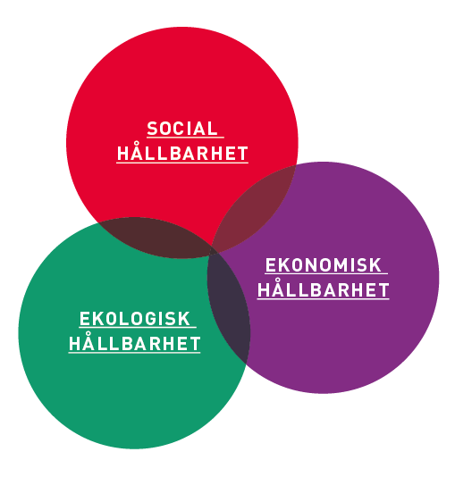 Vi utvecklar dagligen vårt hållbarhetsarbete med tre områden i fokus: social hållbarhet, ekonomisk hållbarhet och ekologisk hållbarhet.